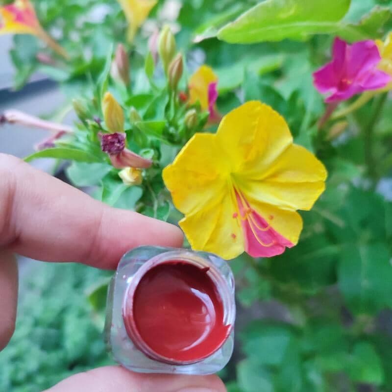 رژلب گیاهی مایع بدون سرب — تصویر ۶