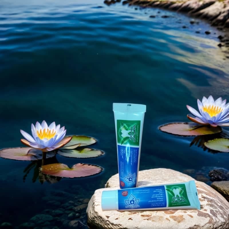 خمیردندان گیاهی نعنایی طبیب خاص 80 گرمی
