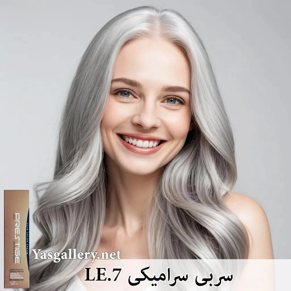 رنگ موی پرستیژ ترکیبی — تصویر ۴