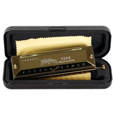 سازدهنی کروماتیک واشبرن Washburn 1248 — تصویر ۳