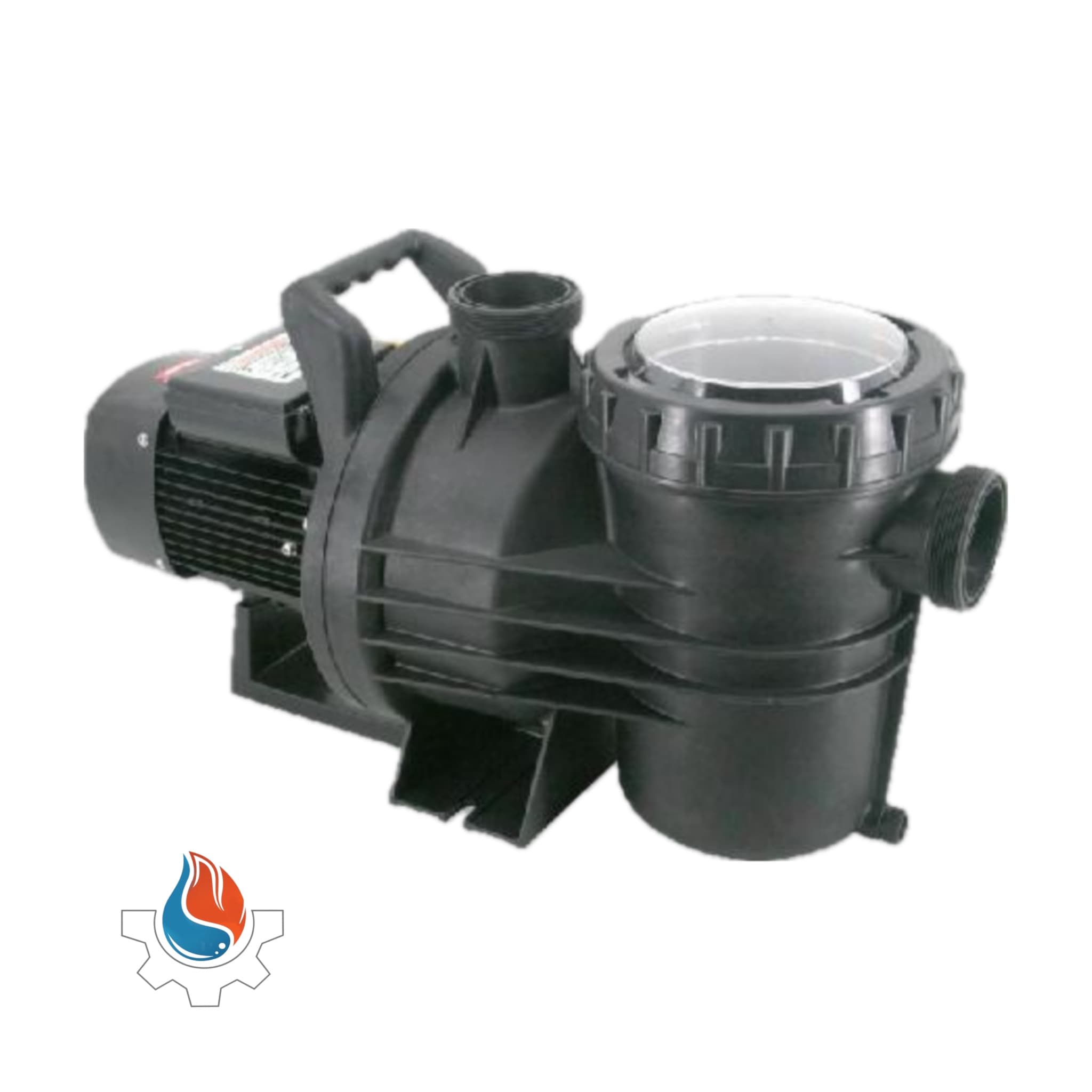 پمپ تصفیه استخری porto مدل flswim2-200