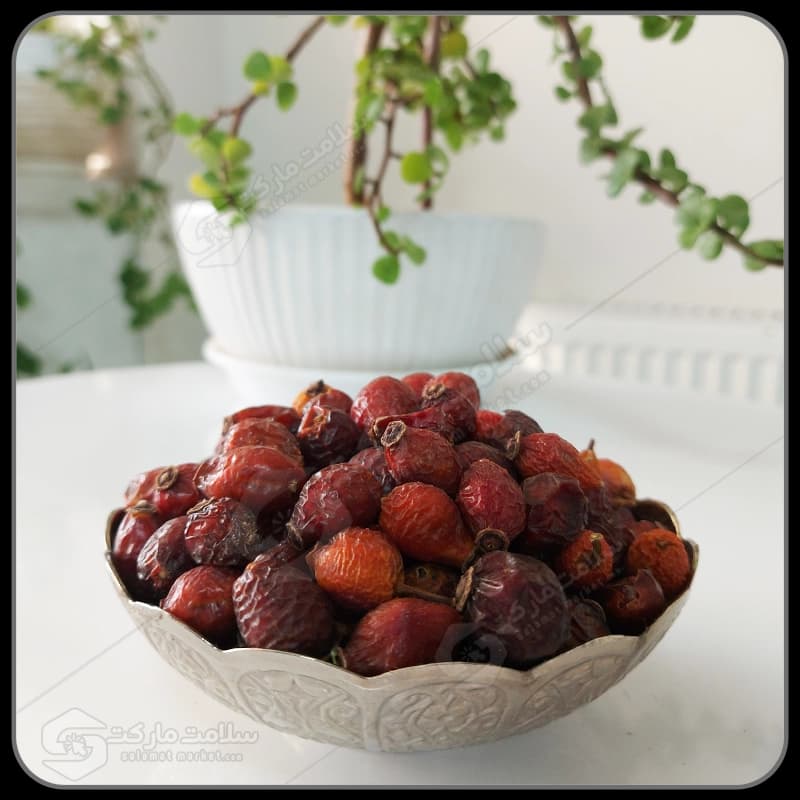 میوه نسترن خشک | 100 گرمی