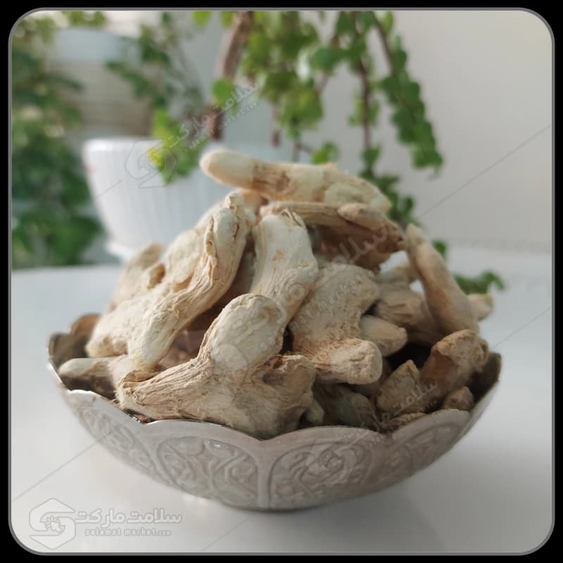 زنجبیل قلم (درشت) | 100 گرمی