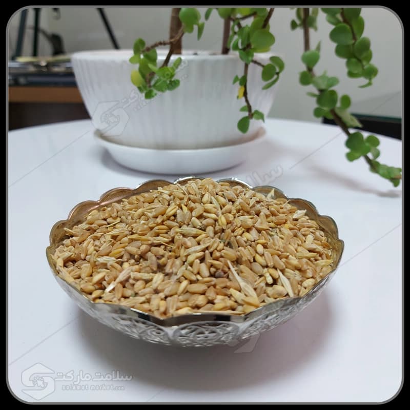 گندم مرغی | یک کیلوگرم