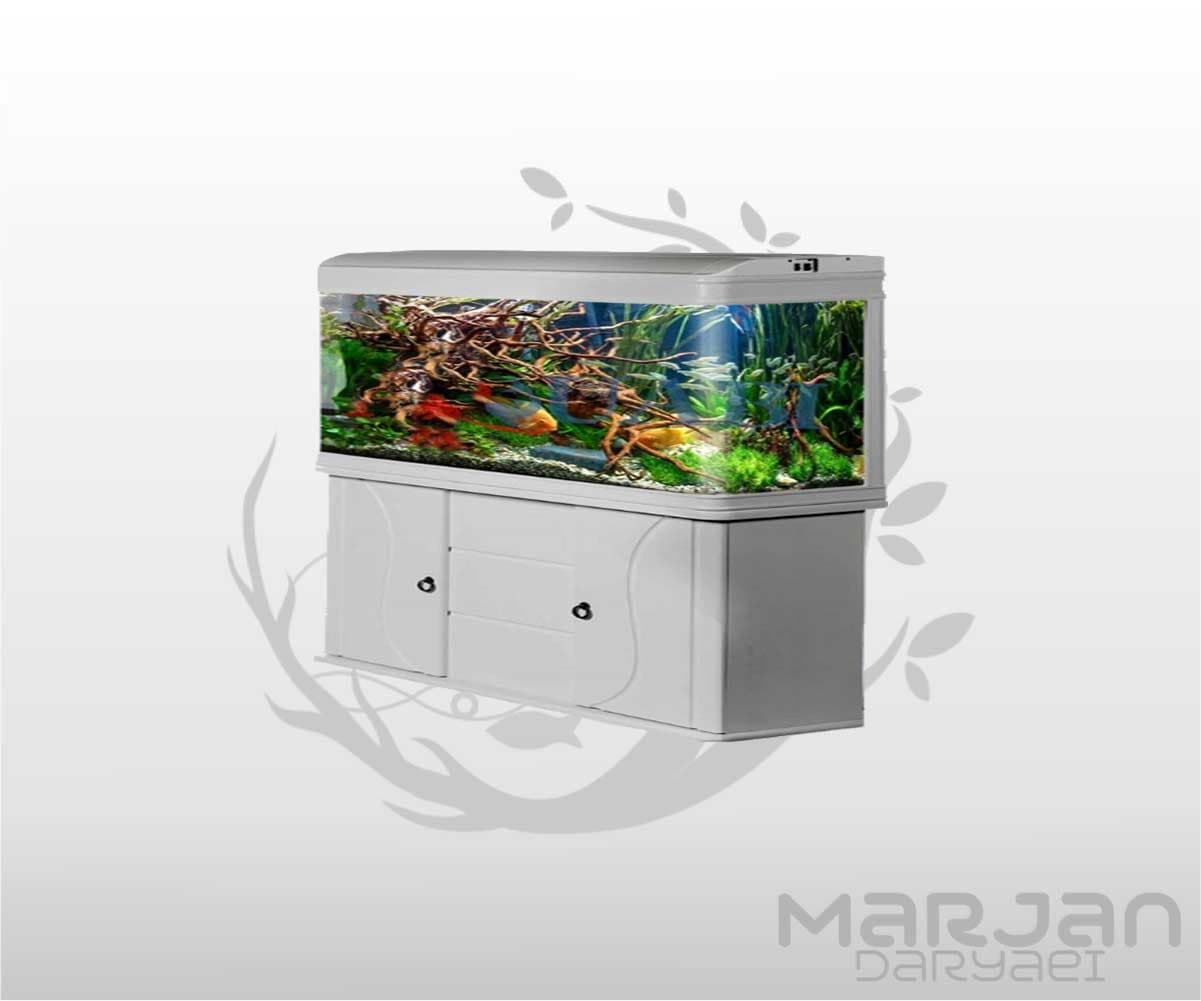 آکواریوم دلسا K2000