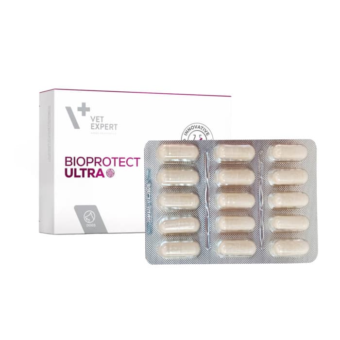 پروبیوتیک مکمل تقویت میکروبیوم و سلامت دستگاه گوارش سگ و گربه وت اکسپرت Vet Expert BIOPROTECT ULTRA — تصویر ۳