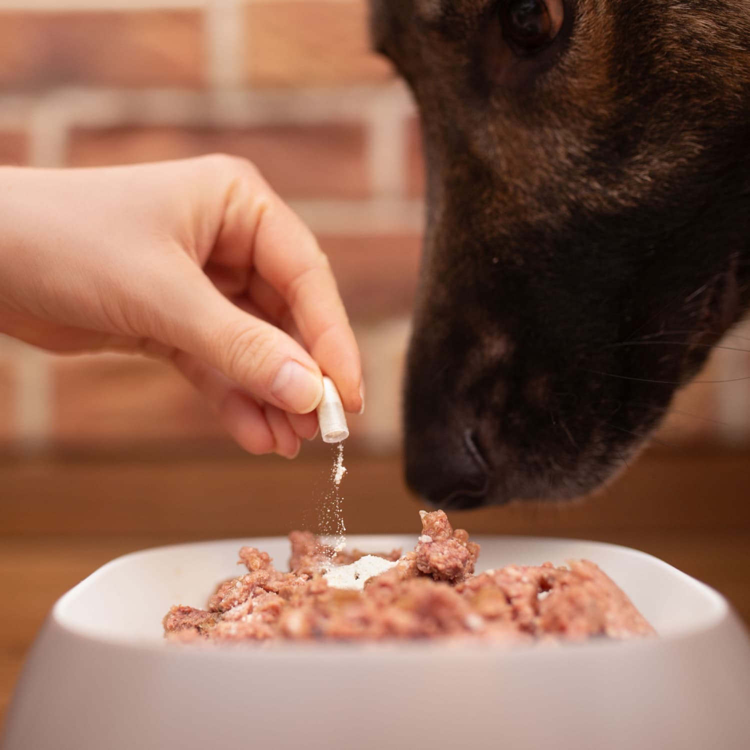 پروبیوتیک مکمل تقویت میکروبیوم و سلامت دستگاه گوارش سگ و گربه وت اکسپرت Vet Expert BIOPROTECT ULTRA — تصویر ۲