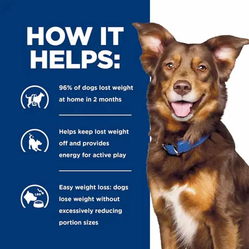 غذای خشک درمانی هیلز سگ متابولیک | کاهش وزن (بره و برنج) 1/5 کیلوگرم Hill’s PRESCRIPTION DIET Metabolic With Lamb & Rice Dog Food — تصویر ۴