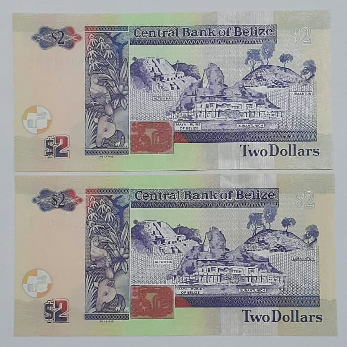 اسکناس 2 دلار 2021 الیزابت دوم _ جفت _ UNC 62 _ بلیز _ S10004 — تصویر ۲