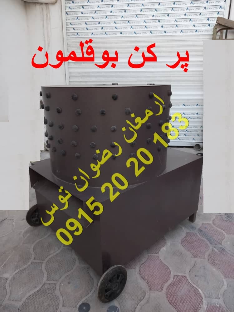 پر کن بوقلمون