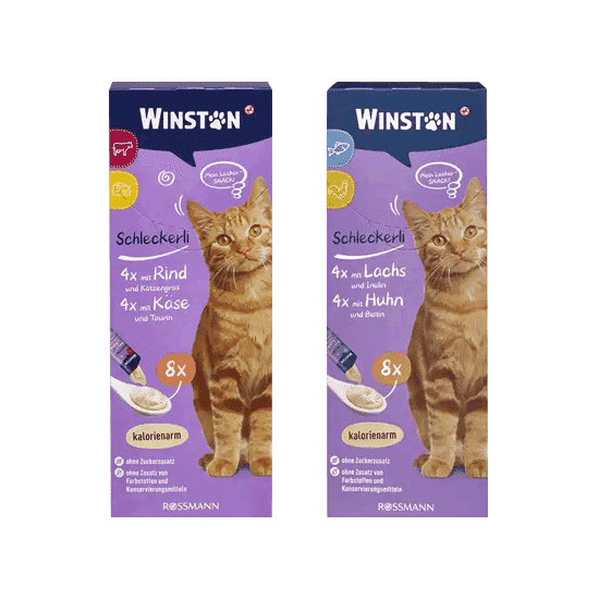 بستنی گربه وینستون – winston