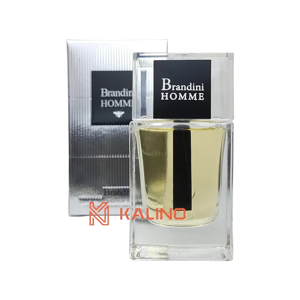 ادکلن مردانه دیور هوم (نقره‌ای) برندینی حجم 33 میل | Brandini Dior Homme — تصویر ۲