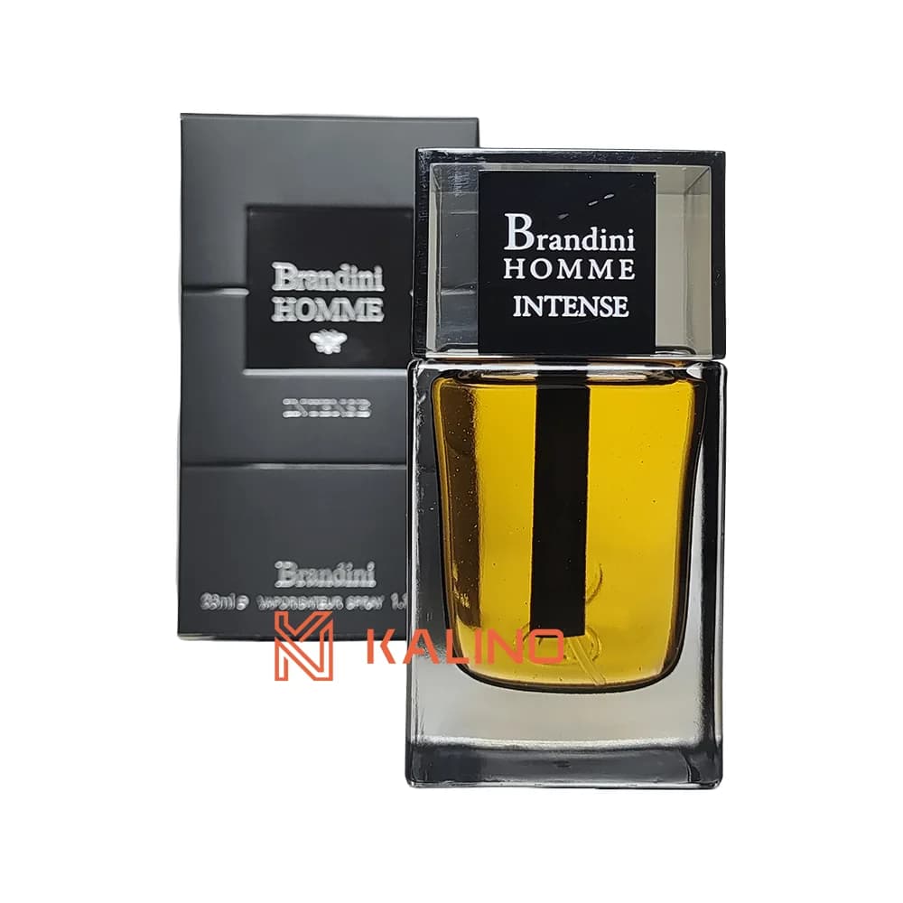 ادکلن مردانه دیور هوم اینتنس برندینی حجم 33 میل | Brandini Dior Homme Intense — تصویر ۲
