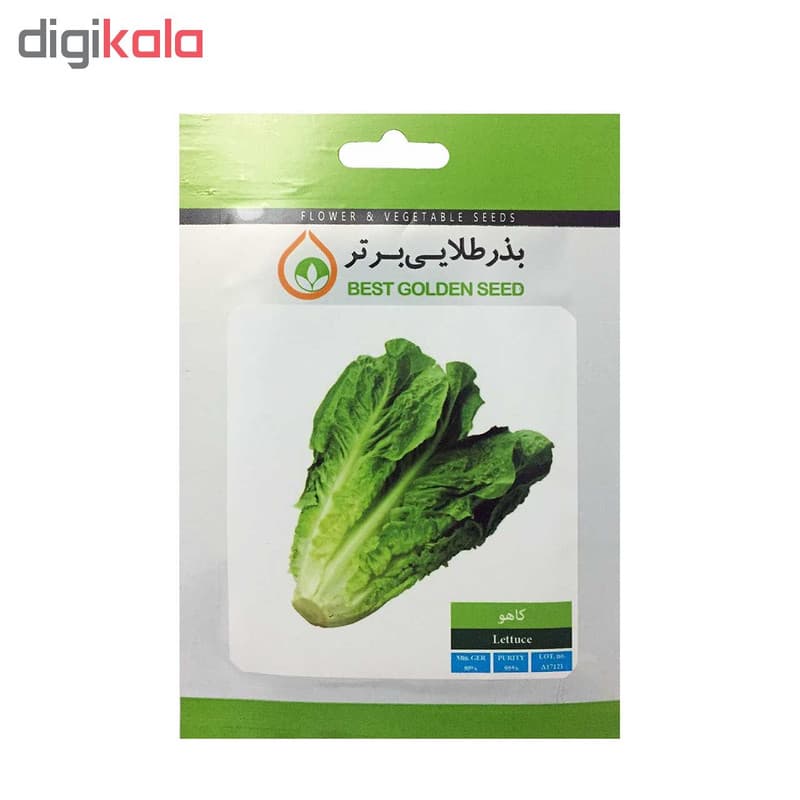 بذر کلم و کاهو بذر طلایی برتر کد P-KK-BZT-08 مجموعه 5 عددی — تصویر ۴