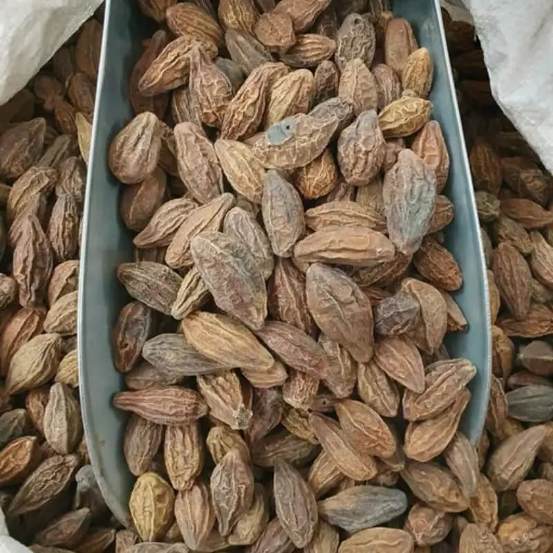 هلیله زرد 90 گرم