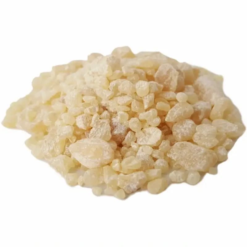 مصطکی (کندر رومی) 50 گرم