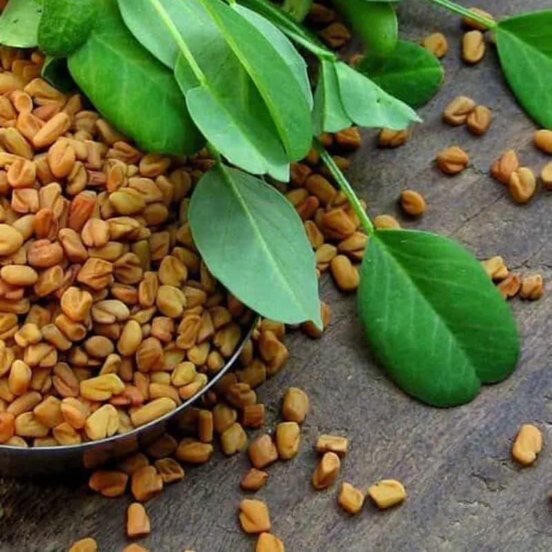 تخم شنبلیله 150 گرم