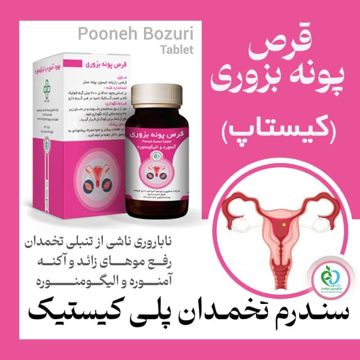 قرص کیستاپ پونه بُزوری (اصلی بازار) — تصویر ۲