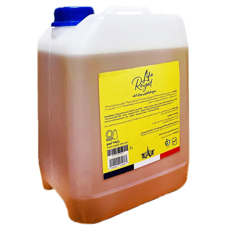 Dish washing liquid blackberry 5 litr lemon