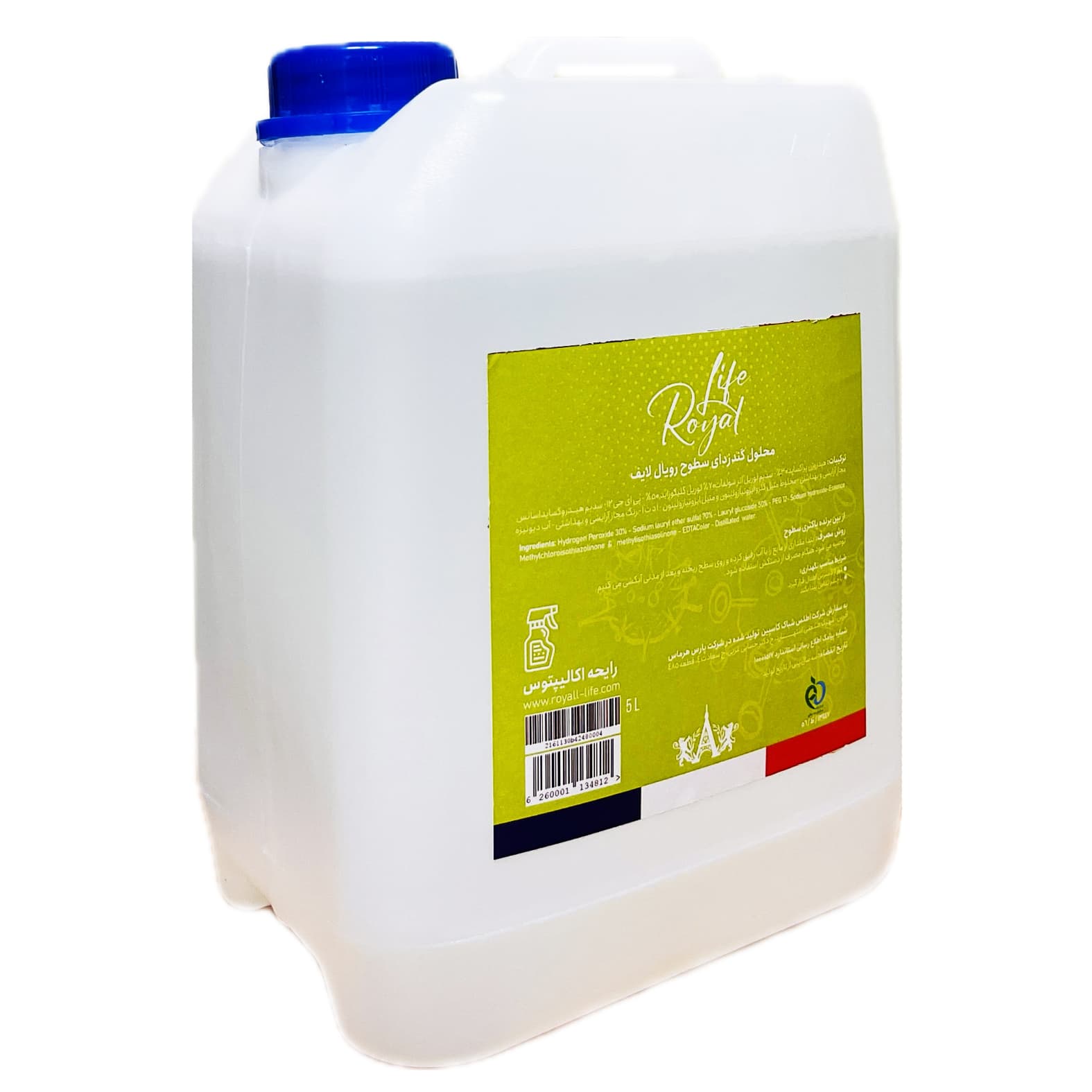 Surface Disinfection 5 litr
