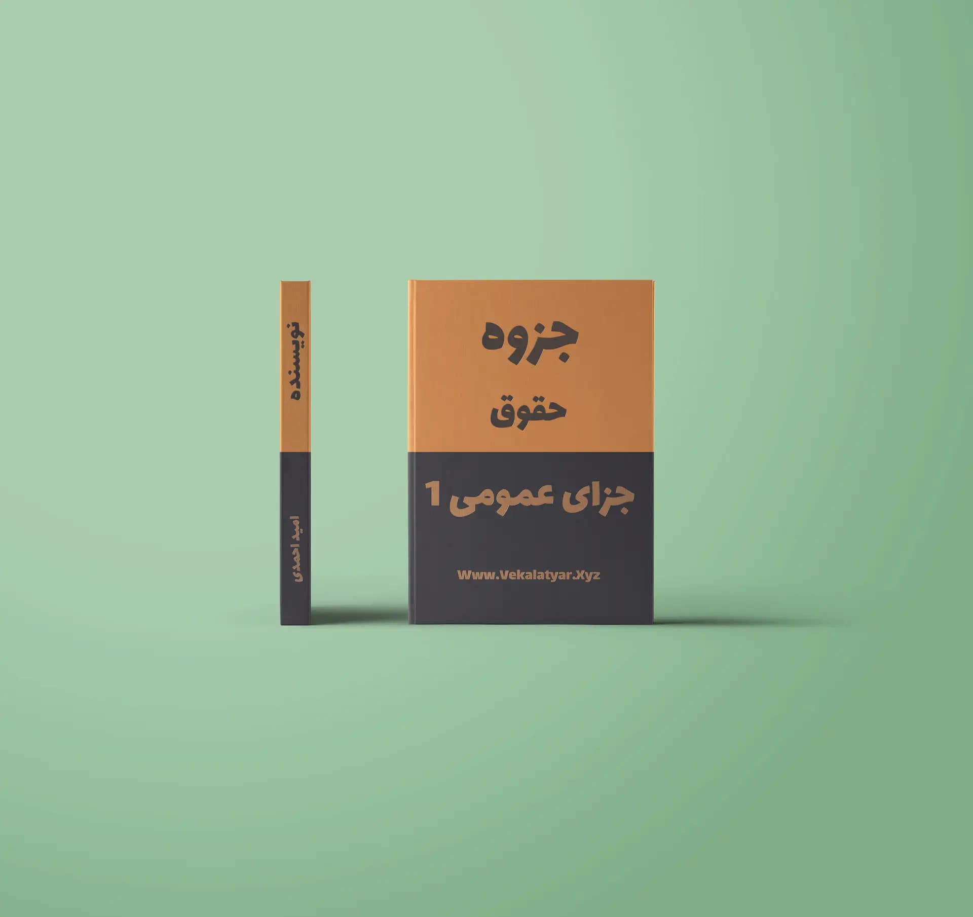 جزوه حقوق جزای عمومی 1 | دکتر اردبیلی | خلاصه شده