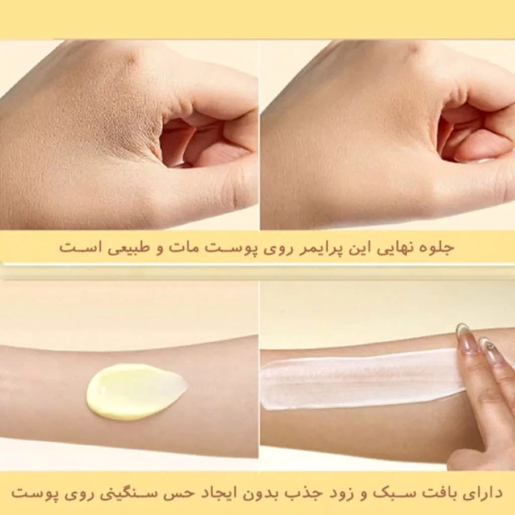 پرایمر آبرسان زرد شیگلم — تصویر ۴