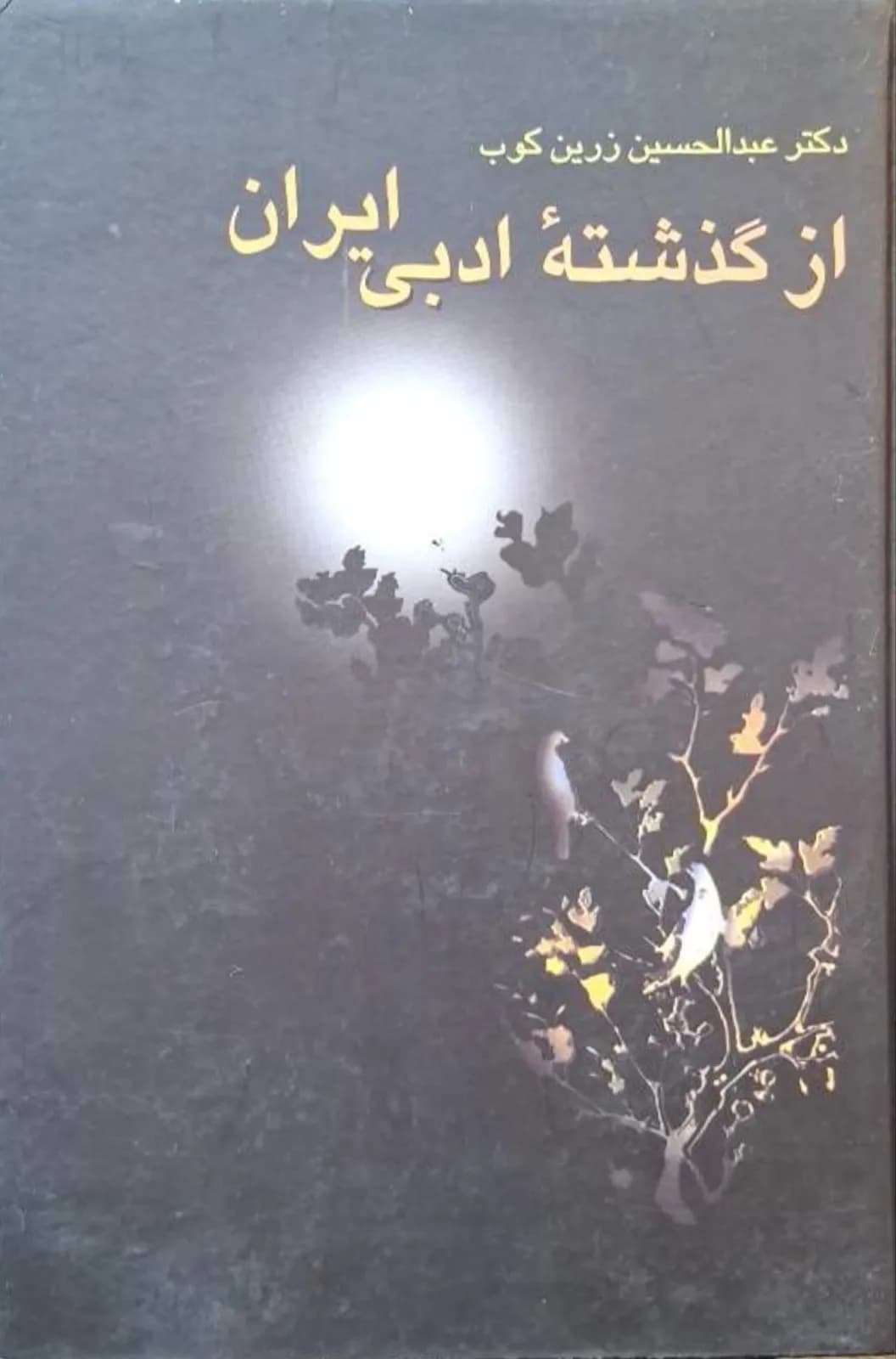 از گذشته ادبی ایران | عبدالحسین زرین‌کوب