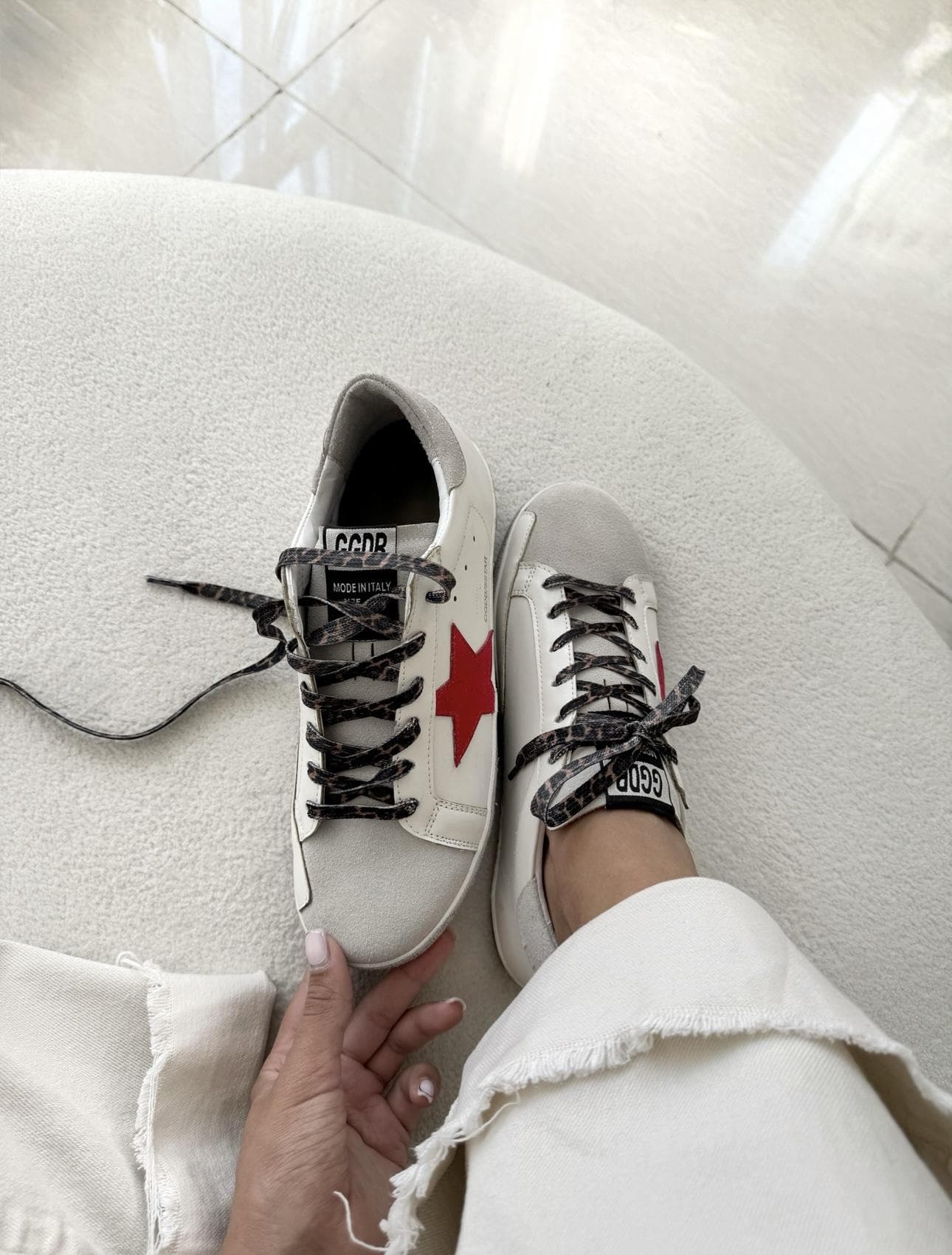 ونس رد (goldengoose)