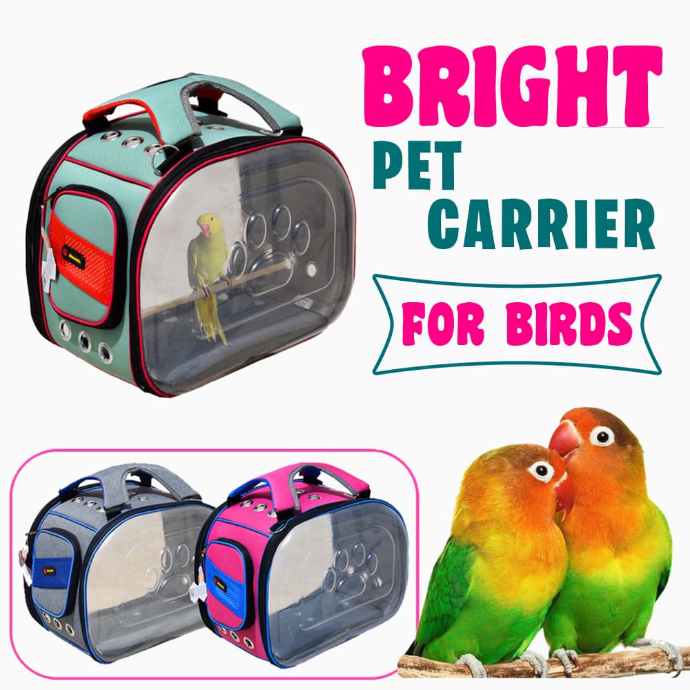 کیف دو طرف شفاف و تخت مدل bright پرندگان