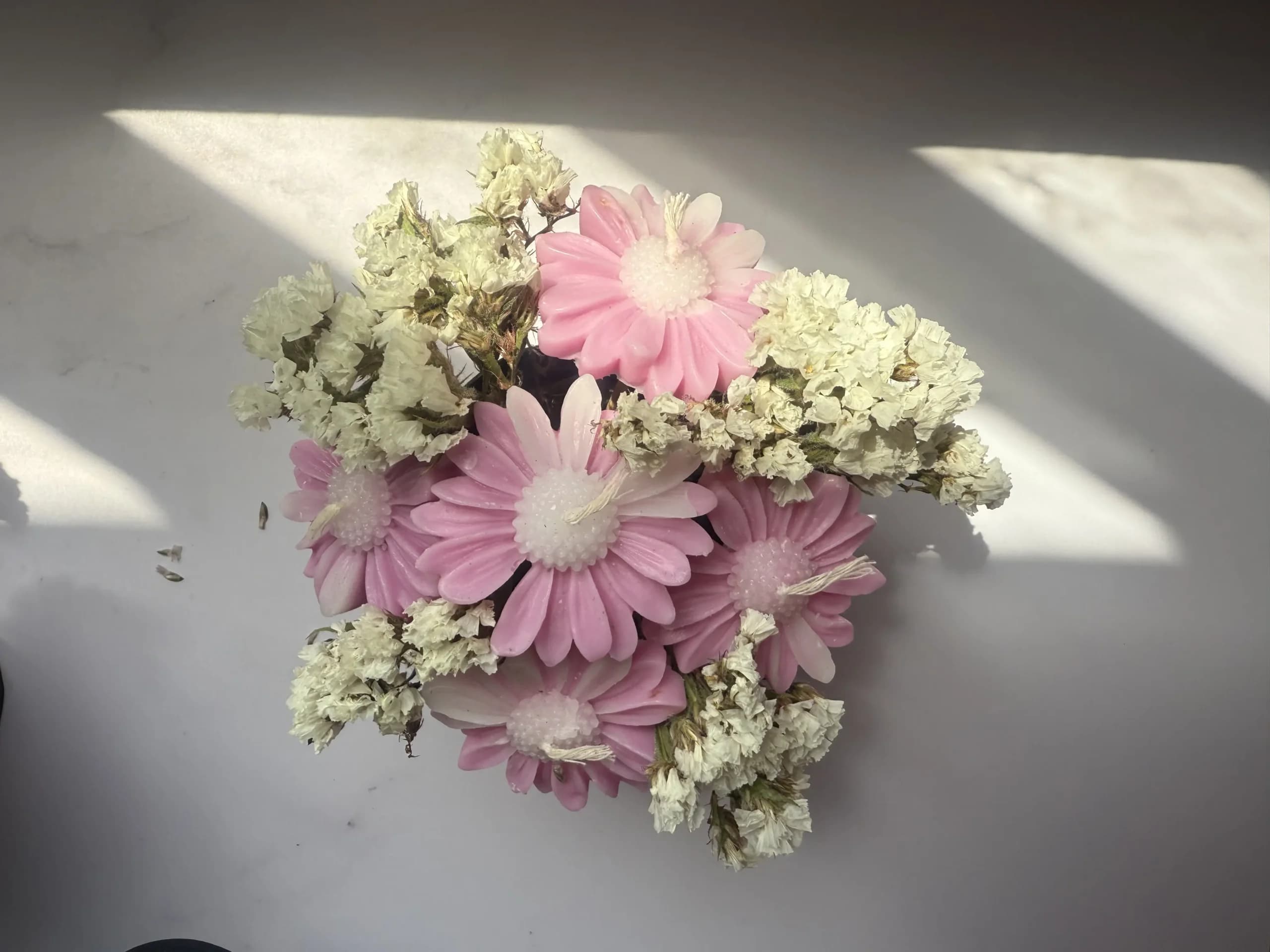 مینی باکس گل جاودان بابونه وایولی