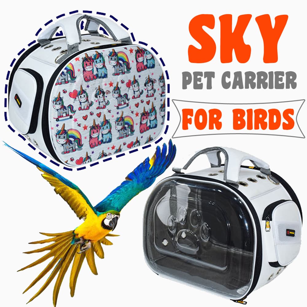 کیف یکطرف (شفاف) و یکطرف تکسون مدل SKY
