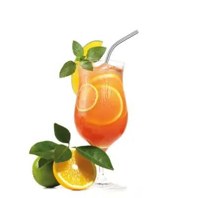 ۴ عدد نی استیل خمیده + برس تمیز کننده Stainless Steel Drinking Straws »Edelstahl Knick« وست مارک — تصویر ۵