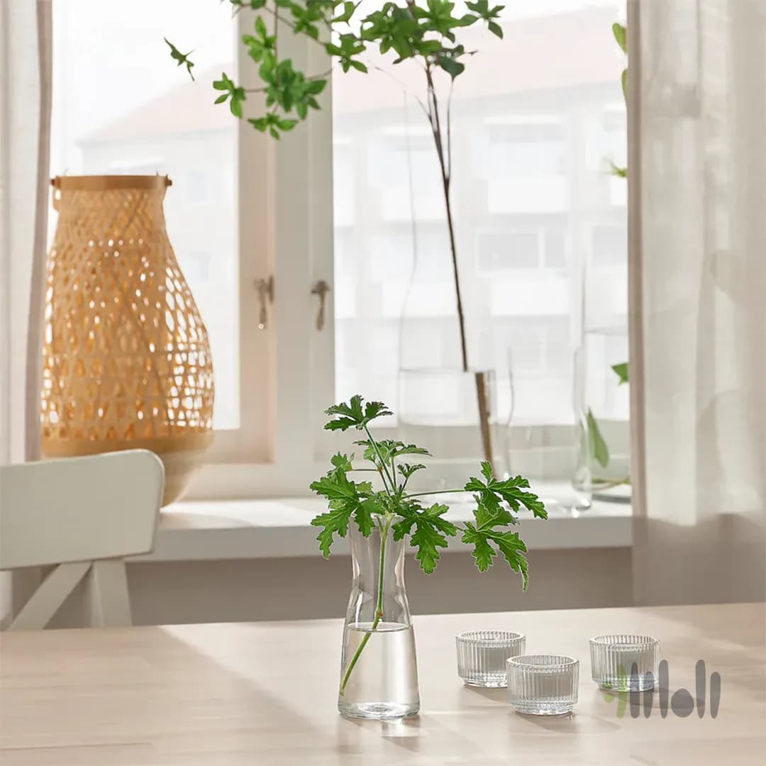 گلدان شیشه ای ایکیا TIDVATTEN — تصویر ۲