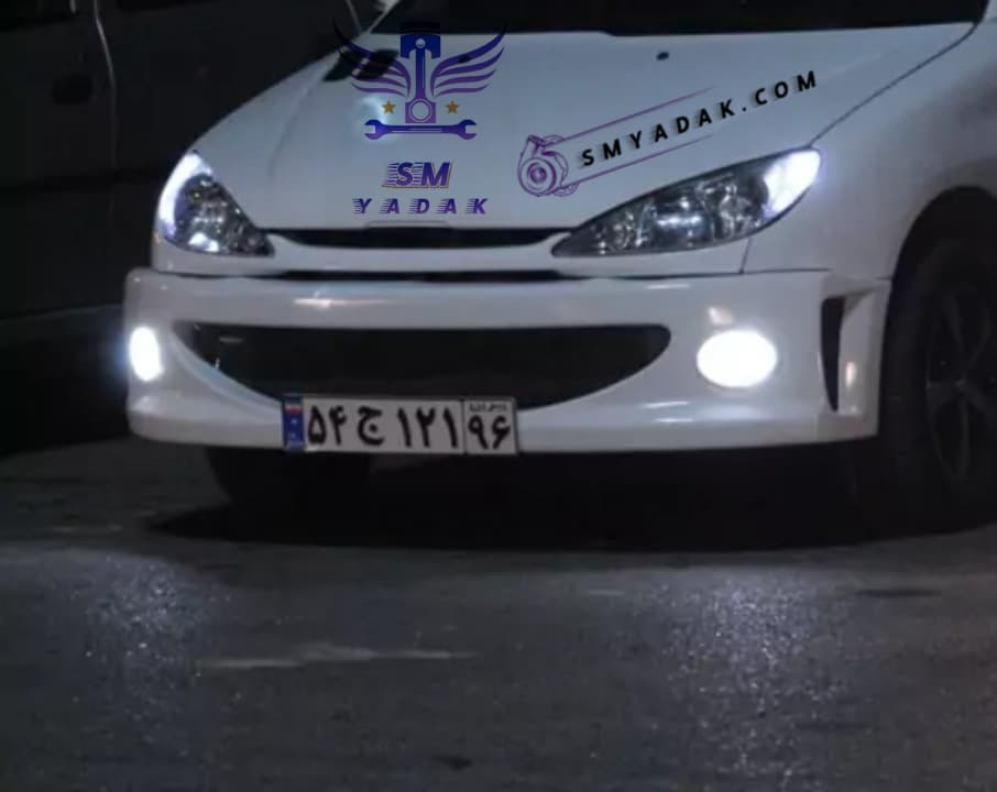 سپر جلو wrc 206 — تصویر ۴