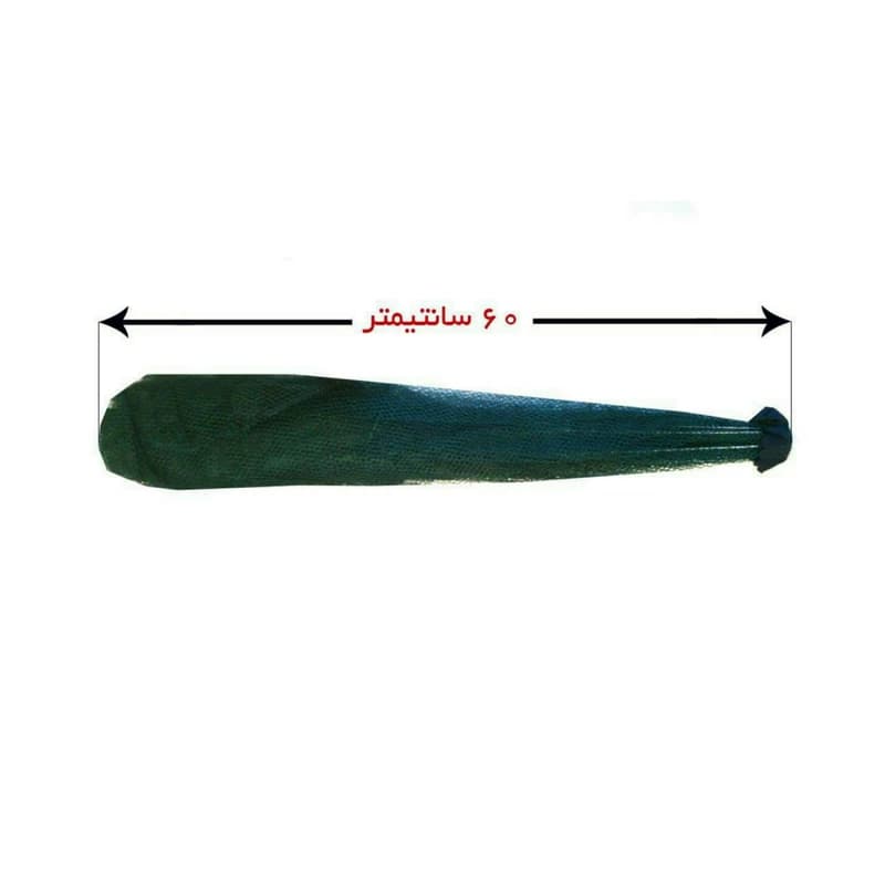 گرگور ماهیگیری چتری هشت خانه — تصویر ۲