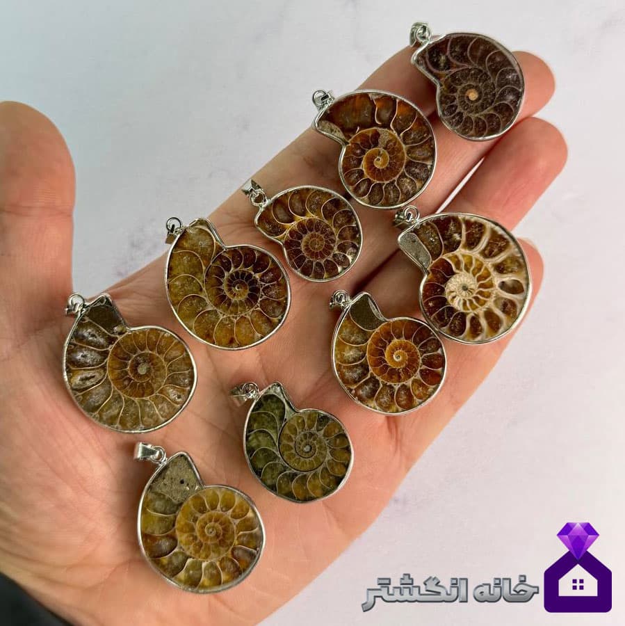 آویز فسیل آمونیت کد171