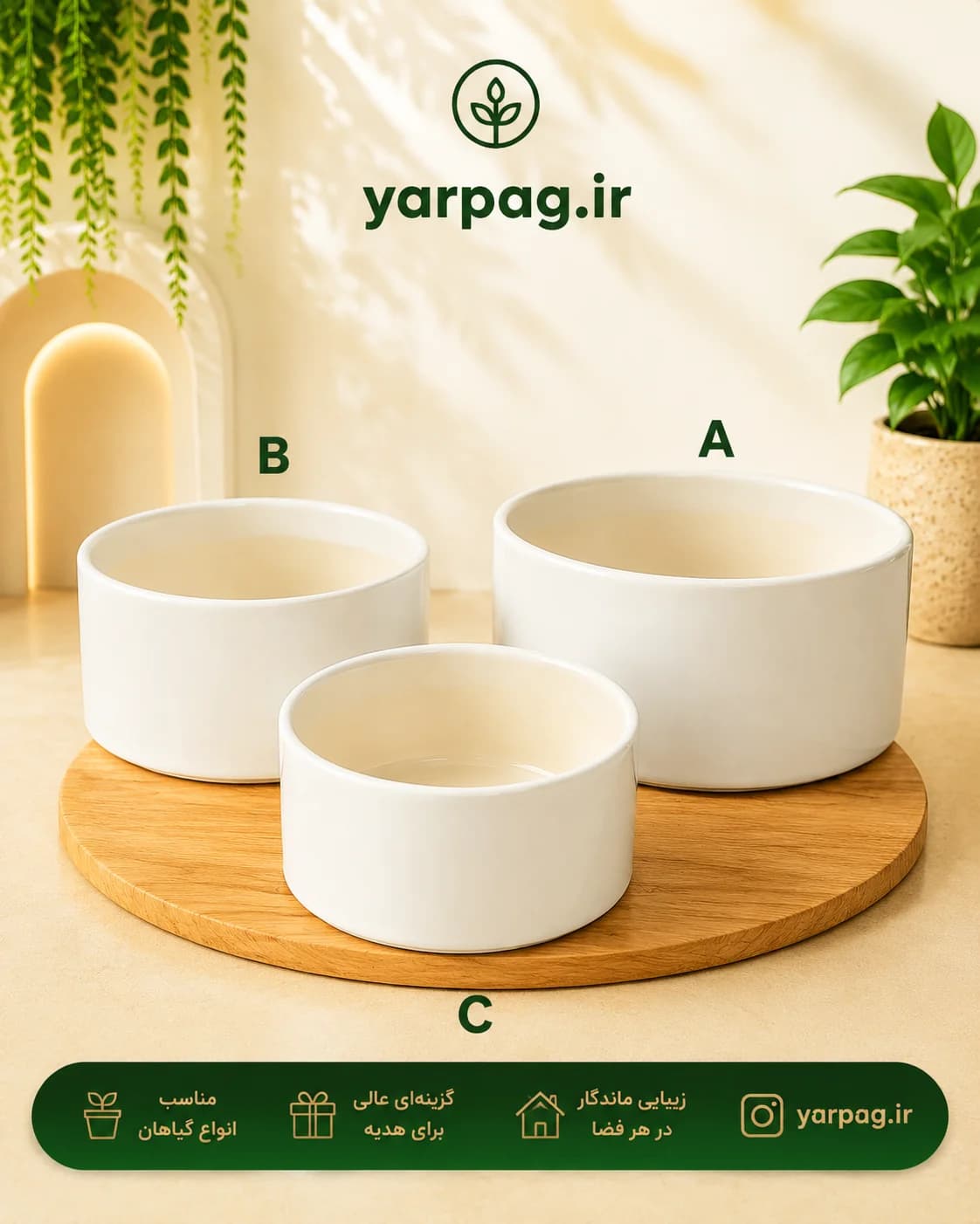 گلدان بنسای ساده
