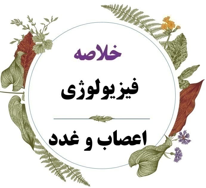 خلاصه جدید کتاب فیزیولوژی اعصاب و غدد- دکتر محمد علی ابراهیمی — تصویر ۲