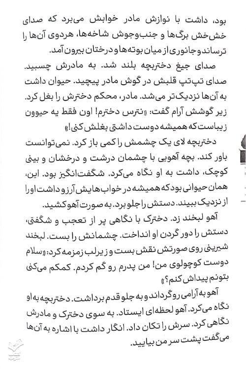 شوالیه ایرانی — تصویر ۴