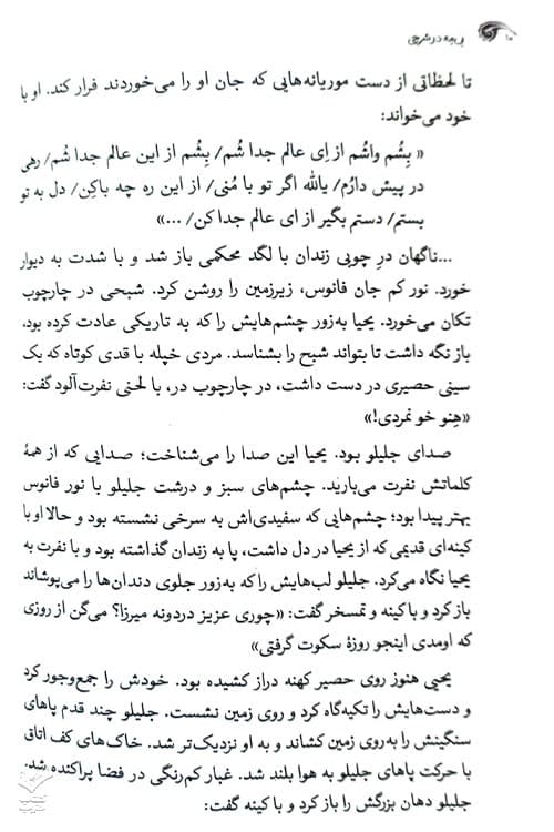 نی مه در شرجی — تصویر ۴