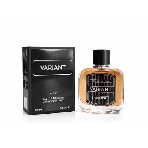 عطر ادکلن گابرینی مدل واریانت حجم 100 میلی لیتر