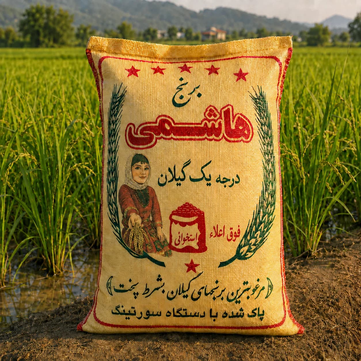 برنج هاشمی درجه یک گیلان فوق اعلاء استخوانی-سورتینگ دو الکه واقعی