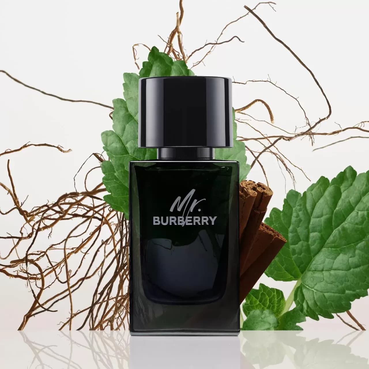 عطر باربری مستر باربری ادو پرفیوم | Burberry Mr. Burberry Eau de Parfum — تصویر ۳