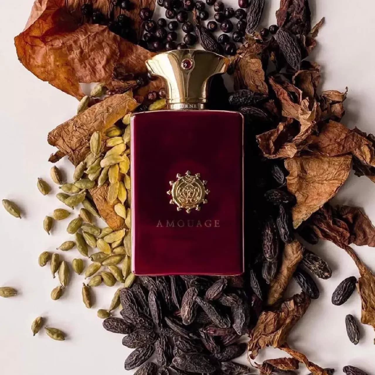 عطر آمواج جرنی مردانه | Amouage Journey Man — تصویر ۳