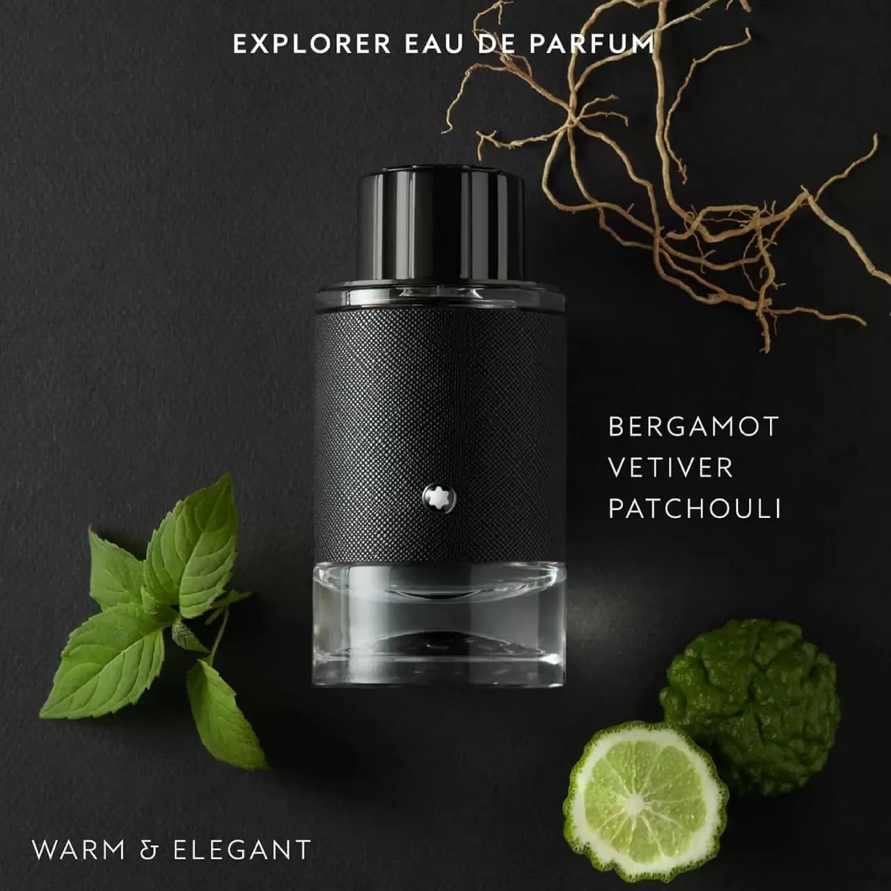 عطر مون بلان اکسپلورر | Mont Blanc Explorer — تصویر ۵