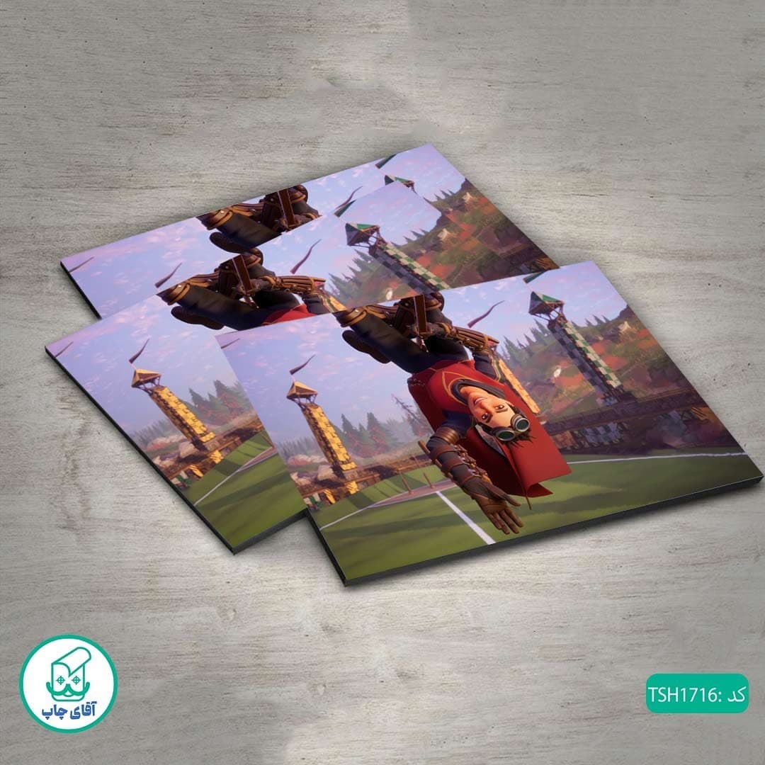 شاسی عکس بازی Harry Potter کد TSH1716 — تصویر ۲