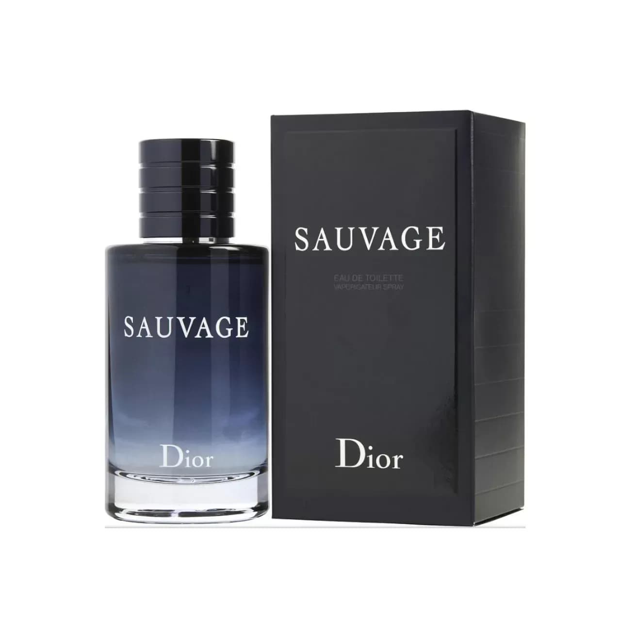 عطر دیور (سوواژ) ساواج ادوتویلت | Dior Sauvage E.D.T — تصویر ۲