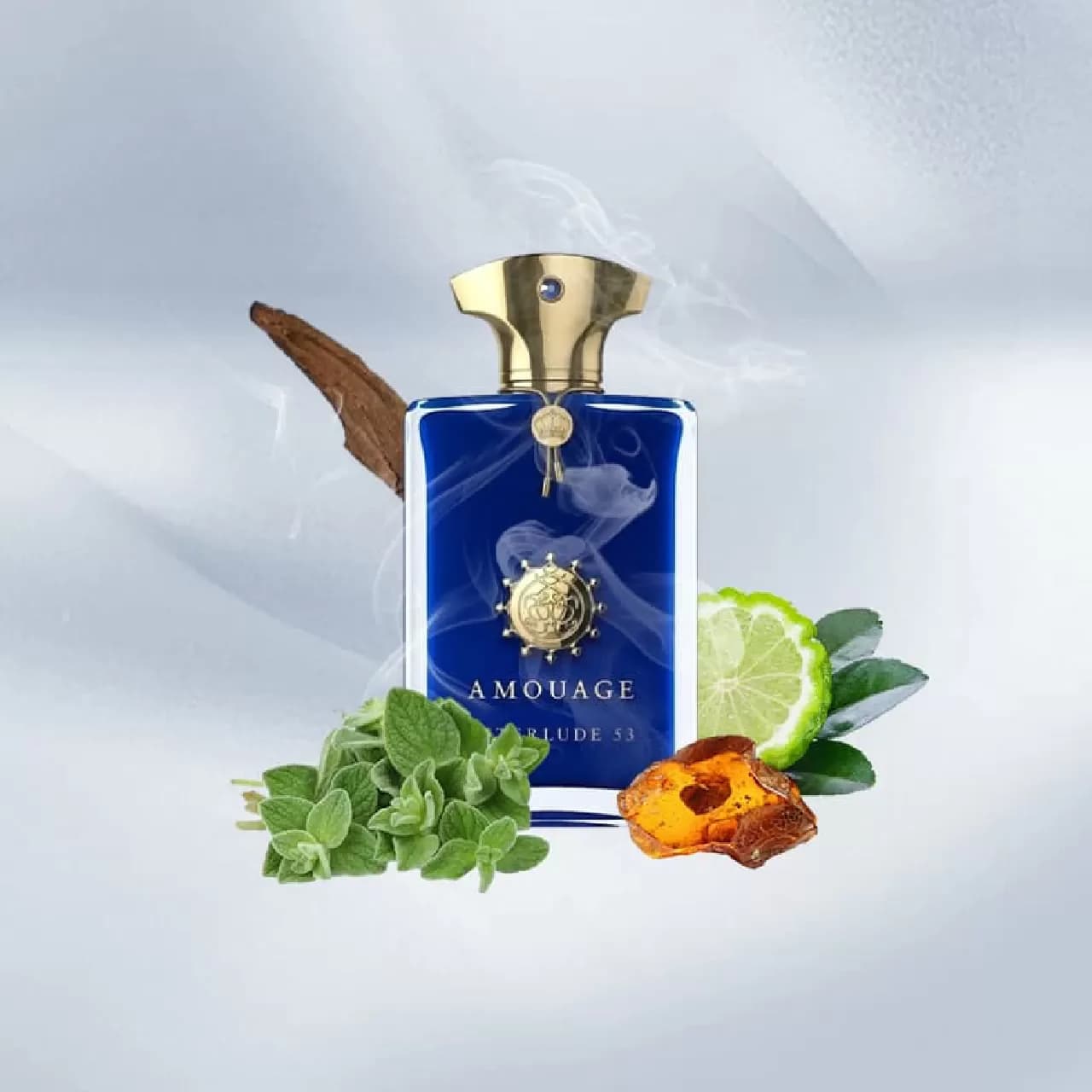 عطر آمواژ (آمواج) اینترلود 53 | Amouage Interlude 53 Man — تصویر ۳