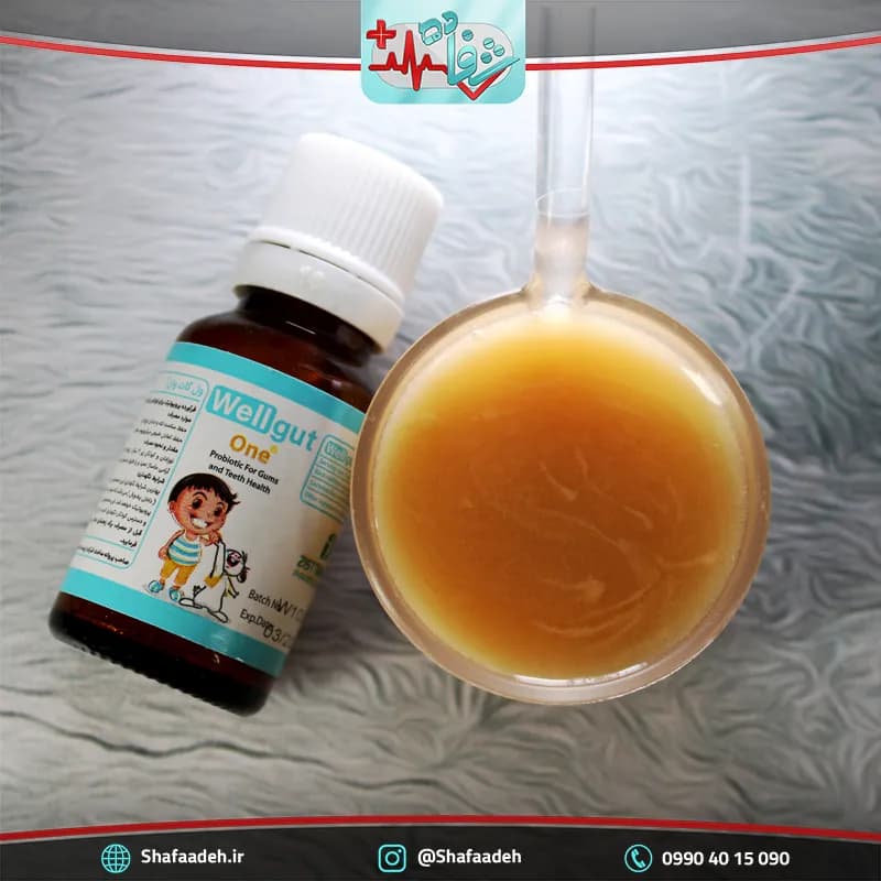 قطره ول گات وان زیست تخمیر 15 میلی لیتر _ Zist Takhmir Well Gut One Drops 15 ml — تصویر ۲