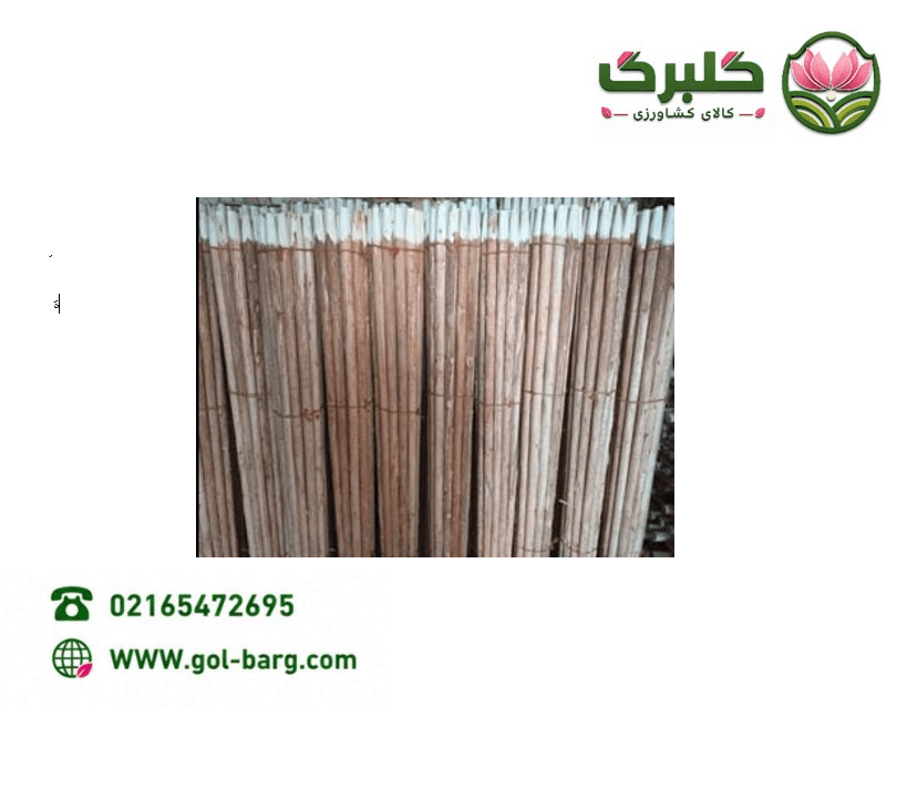دسته بیل ریش همدان